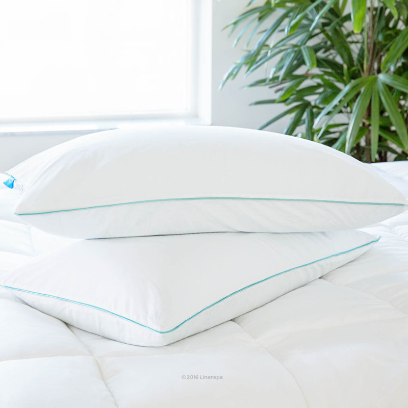 Alwyn Home Memory Foam Pillow & Reviews Wayfair